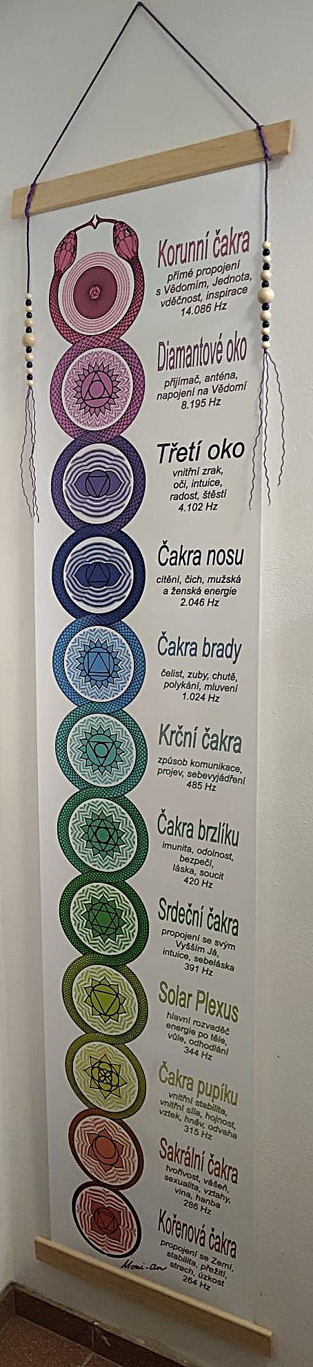 čakry s popiskem na zdi 1